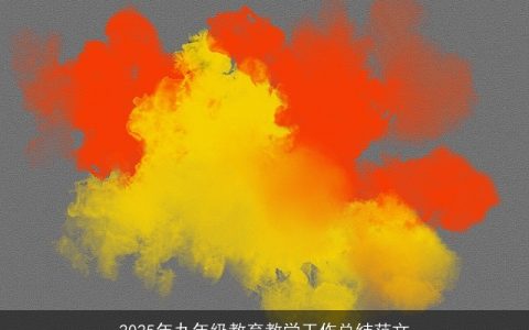 2025年九年级教育教学工作总结范文