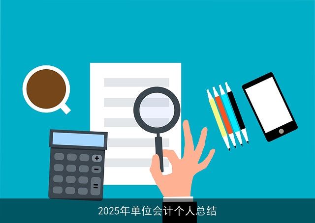 2025年单位会计个人总结