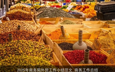 2025年商务局外贸工作小结范文_商务工作总结