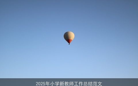 2025年小学新教师工作总结范文