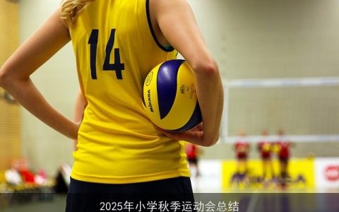 2025年小学秋季运动会总结