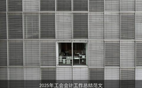 2025年工会会计工作总结范文