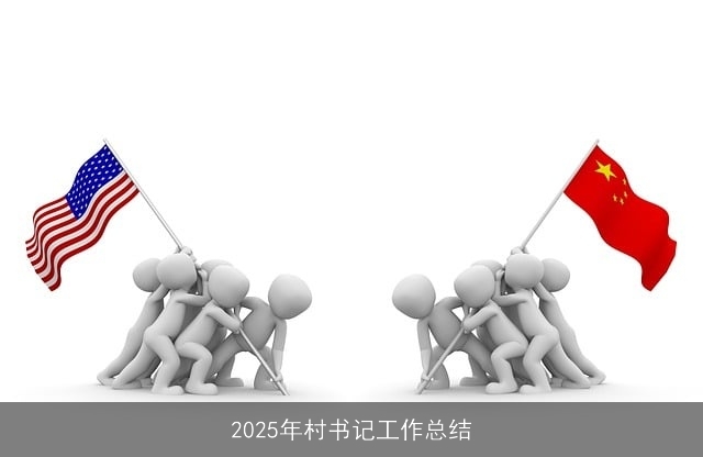 2025年村书记工作总结