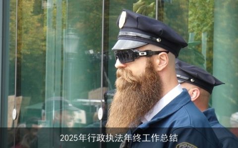 2025年行政执法年终工作总结