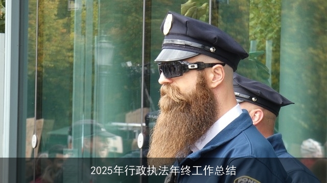 2025年行政执法年终工作总结