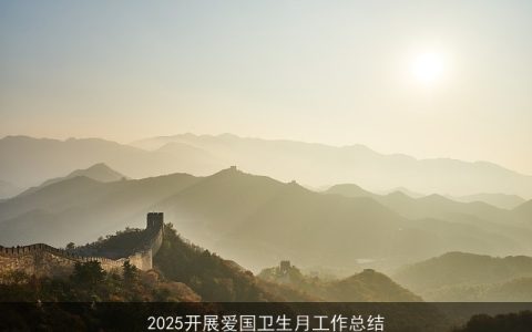 2025开展爱国卫生月工作总结