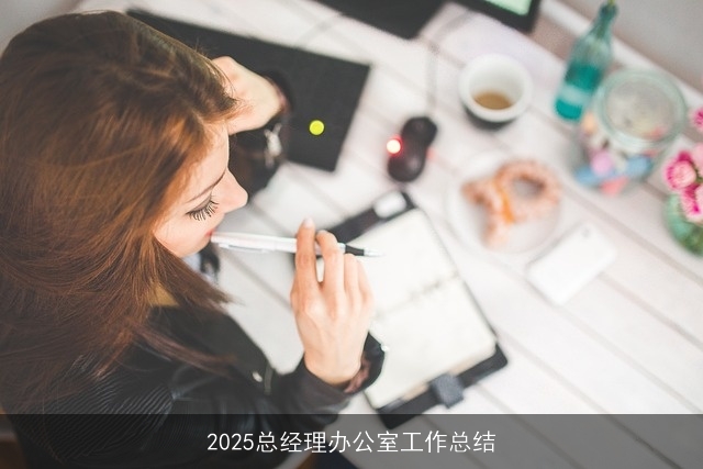 2025总经理办公室工作总结