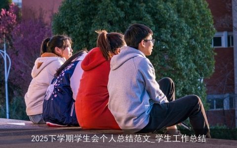 2025下学期学生会个人总结范文_学生工作总结