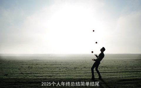 2025个人年终总结简单结尾