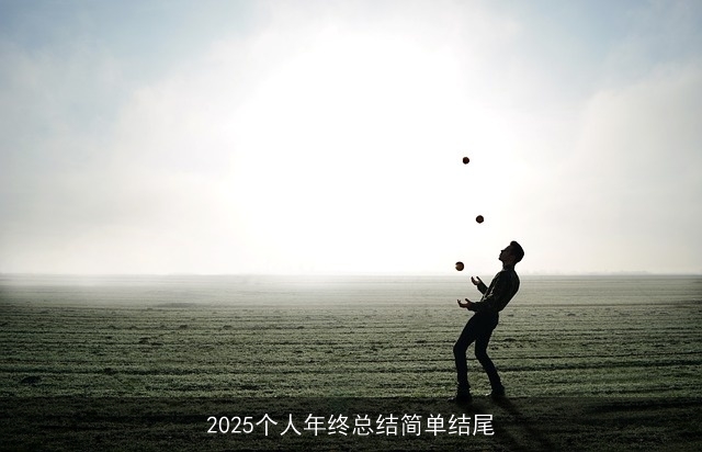 2025个人年终总结简单结尾