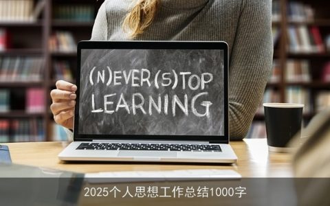 2025个人思想工作总结1000字