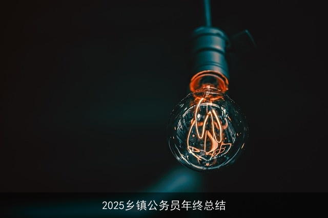 2025乡镇公务员年终总结