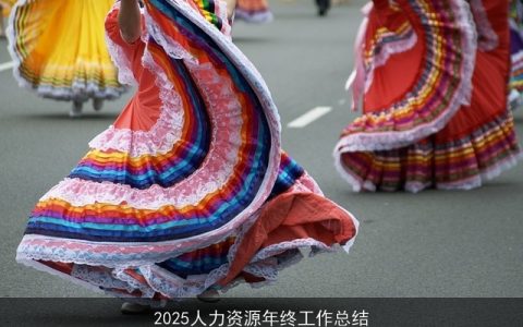 2025人力资源年终工作总结