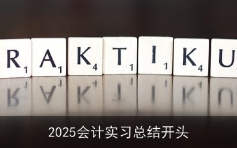 2025会计实习总结开头