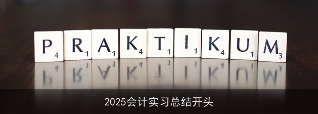 2025会计实习总结开头