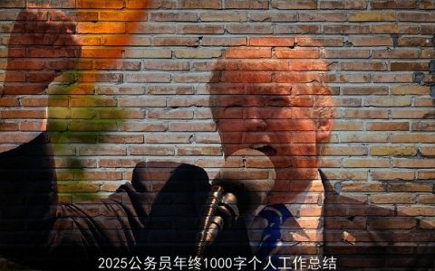 2025公务员年终1000字个人工作总结