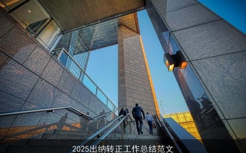 2025出纳转正工作总结范文