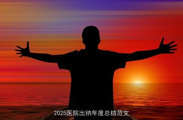 2025医院出纳年度总结范文