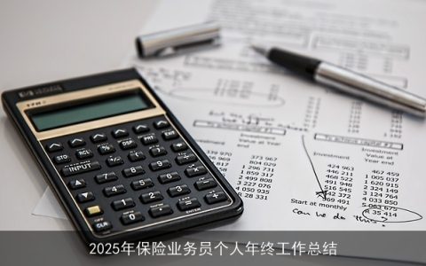 2025年保险业务员个人年终工作总结