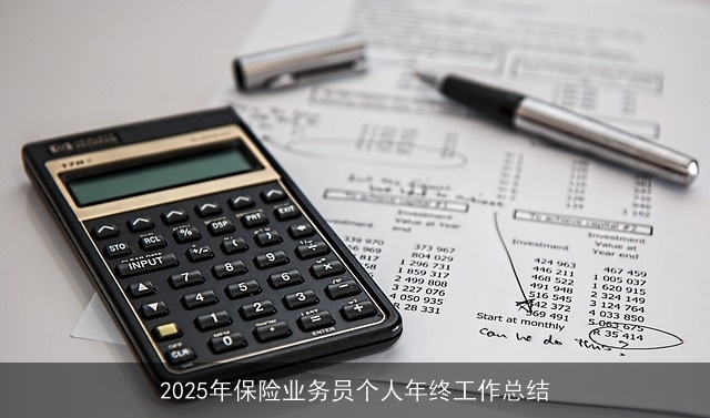 2025年保险业务员个人年终工作总结