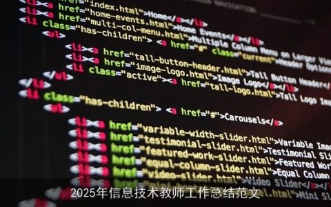 2025年信息技术教师工作总结范文