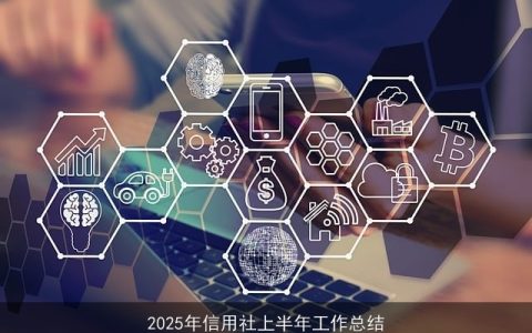 2025年信用社上半年工作总结