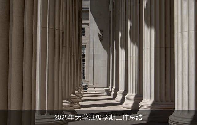 2025年大学班级学期工作总结