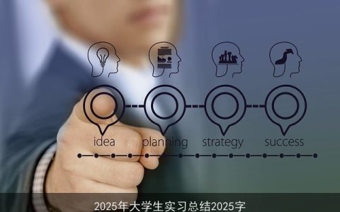 2025年大学生实习总结2025字