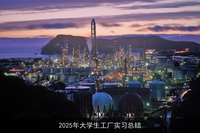 2025年大学生工厂实习总结