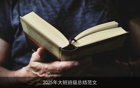 2025年大班班级总结范文