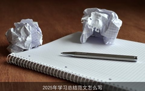 2025年学习总结范文怎么写