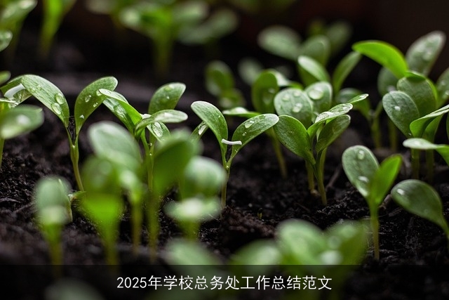 2025年学校总务处工作总结范文