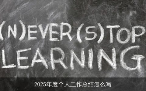 2025年度个人工作总结怎么写