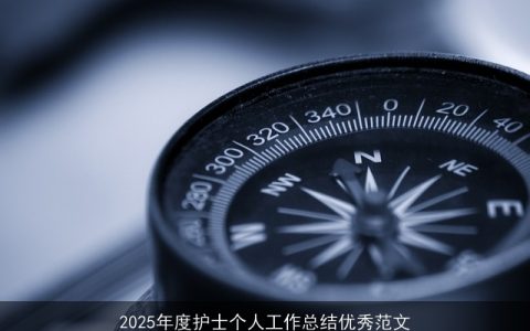 2025年度护士个人工作总结优秀范文