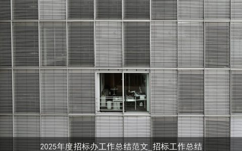 2025年度招标办工作总结范文_招标工作总结