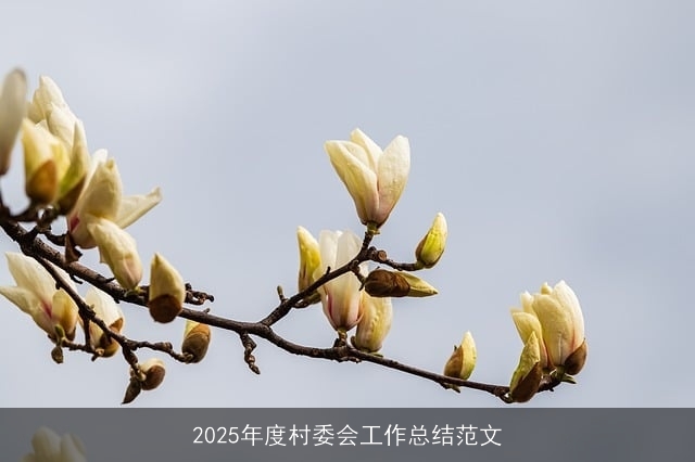 2025年度村委会工作总结范文