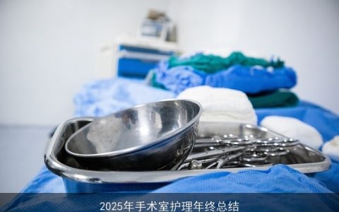 2025年手术室护理年终总结