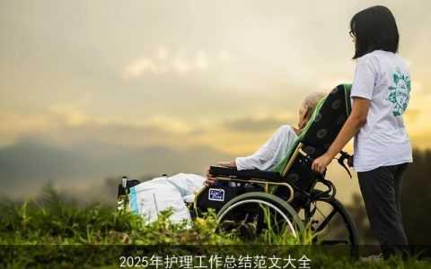 2025年护理工作总结范文大全