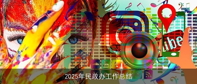 2025年民政办工作总结