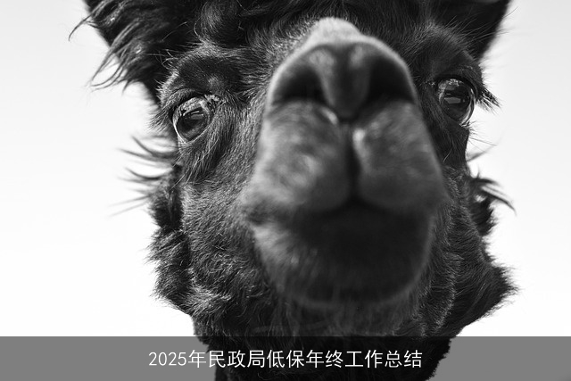 2025年民政局低保年终工作总结