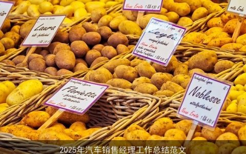 2025年汽车销售经理工作总结范文