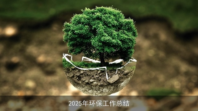 2025年环保工作总结