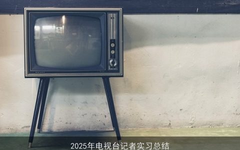 2025年电视台记者实习总结