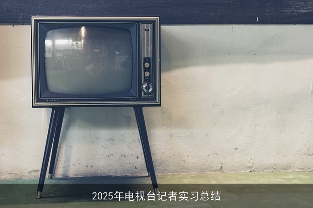 2025年电视台记者实习总结