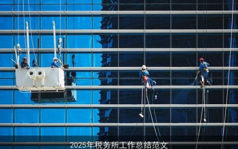 2025年税务所工作总结范文