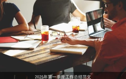 2025年第一季度工作总结范文