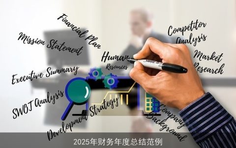 2025年财务年度总结范例