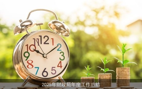 2025年财政局年度工作总结