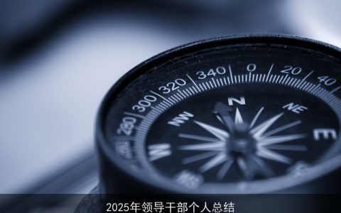 2025年领导干部个人总结