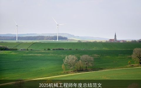 2025机械工程师年度总结范文